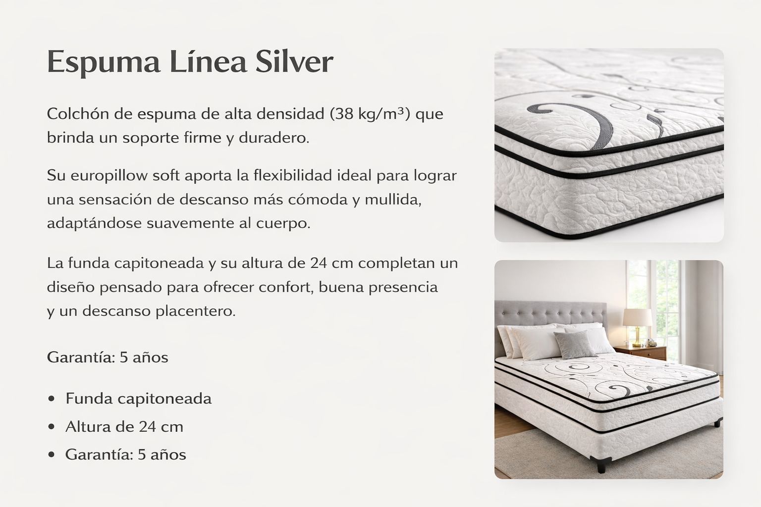 Odoo CMS - una imagen grande