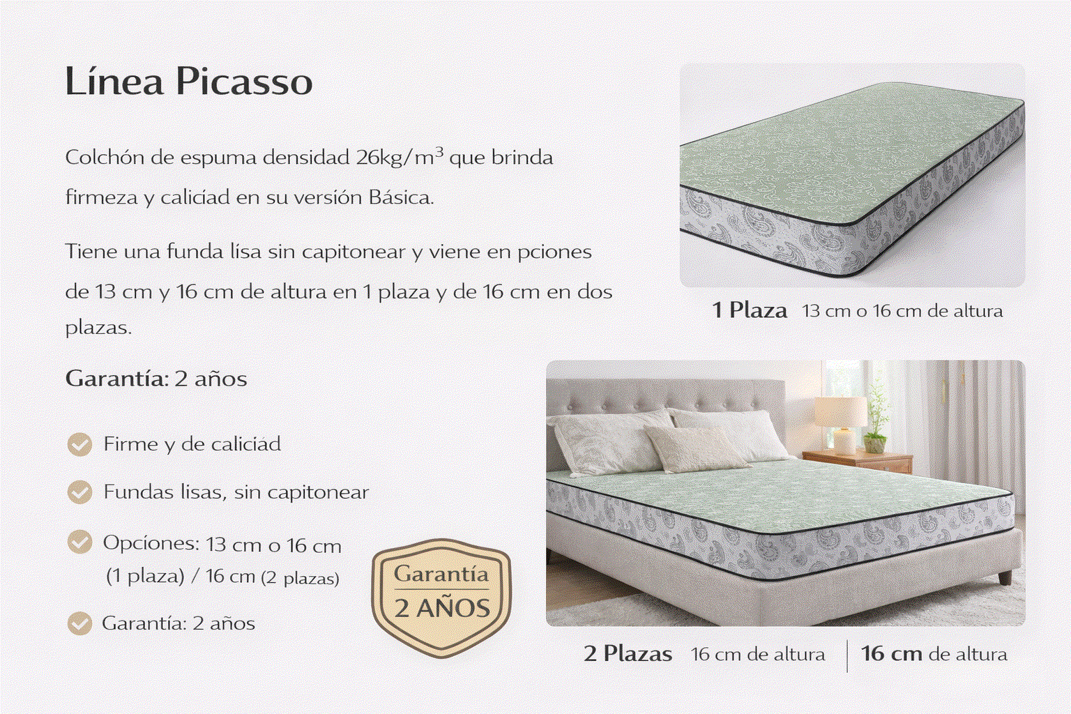 Odoo CMS - una imagen grande